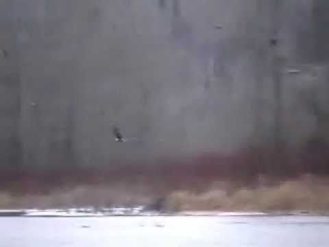 Regardez cette vidéo