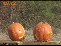 Pumpkin Shooting Part 1 of 2!