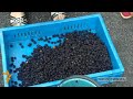 Watch 'Գյուղի չափ մի քաղաք'