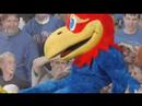 KU Jayhawks