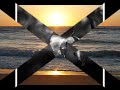 my immortal.wmv