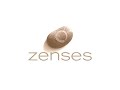 Zenses DS Trailer Zenses DS Trailer