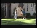 videos de learning to Wallspin