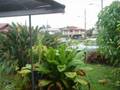 Wahiawa 2006