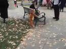 Halloween Parade | Daily Tidings Video Halloween Parade | Daily Tidings Video