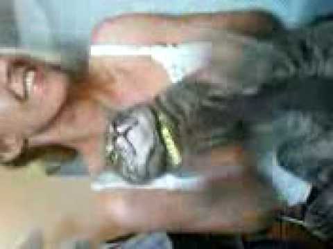 Catbook Movie: Crusha advert auditions LOL!