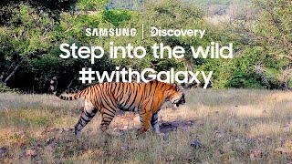 Samsung и Discovery направиа краток документарец за тигрите снимен со Galaxy S21 Ultra