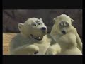 Polar Bears - Shane's Career