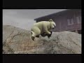 Polar Bears - Shane's Career