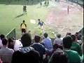 TOLEDO-VELEZ 3