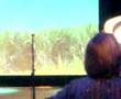 Big World Cabaret Performance