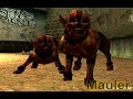 suffering-2-monsters.html