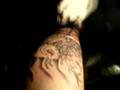 Seba tatuando a Ezequiel :)