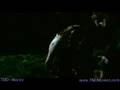 Harry Potter Everything little thing u do - Harry Potter and the Sorcerers Stone Harry Potter and the Philosophers Stone - Emma Watson - Flixster Video