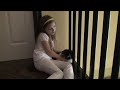 Cat Serenade