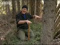 Ray Mears shows us how to make a strong shelter in wet forest, and the right and wrong ways to strike a match.