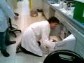 videos de Vicini vicini a vicin..........