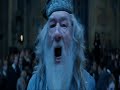 Harry Potter and The Muggle Music Video