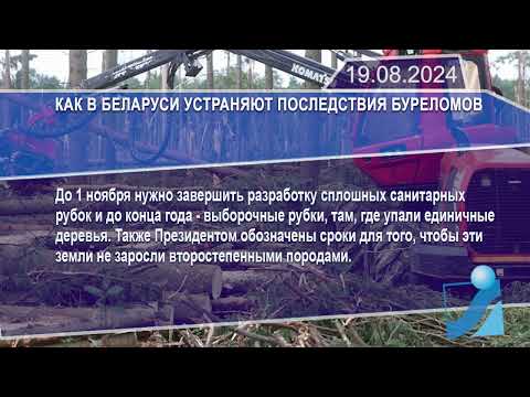 Новостная лента Телеканала Интекс 19.08.24.