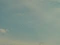 Red Bull 3D Race!! Samolot Edge 540