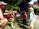 Three Legged Jerry Teaches Kids About Cancer Dogs Three Legged Jerry Teaches Kids About Cancer Dogs
