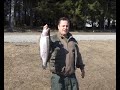 A Pesca in Finlandia