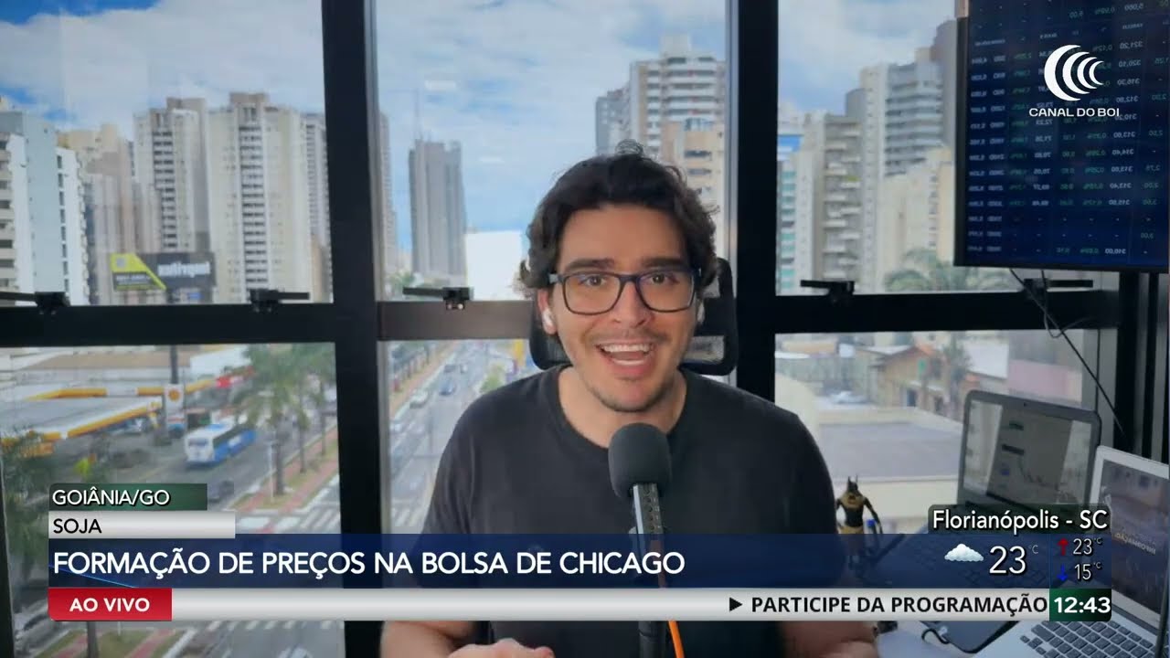 Aumento da demanda americana equilibra preços da soja no Brasil