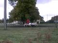 videos de Opal, Australian Cattle Dog, initiation au troupeau