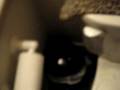 videos de Randomness Five :D