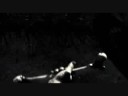 DMX - The Proffessional (Video mix) DMX - The Proffessional (Video mix)