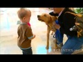 A different kind of service dog
