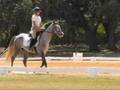 Liberty Hill Show