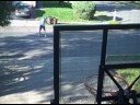 Halfcourt Driveway Shot