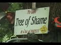 Tree Of Shame Tree Of Shame