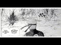 Naruto Manga 339 (MQ)