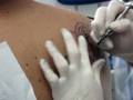 videos de Tatoo 2008