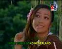 bocah edan