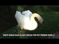 WILDLIFE FiLES MAY 9TH 2009