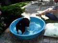 Charlie Splashing Around