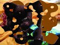 Cat Calls