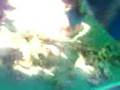 MAKETA SOBRE INCENDIOS FORESTALES XD (ICEST)