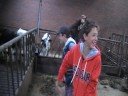 Boerderij bezoek
