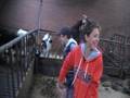 videos de Boerderij bezoek