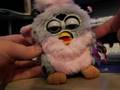 Circuit Bent Furby