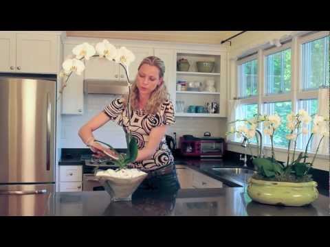 how to care an orchid plant