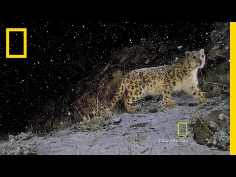 A New Era in Photography