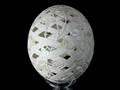 videos de Egg Art by Tamera Seevers