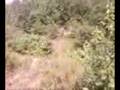 Step up (yz450f/ 200xc)