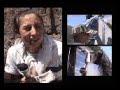 Techo 2005