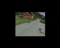 Wheelies Wheelies